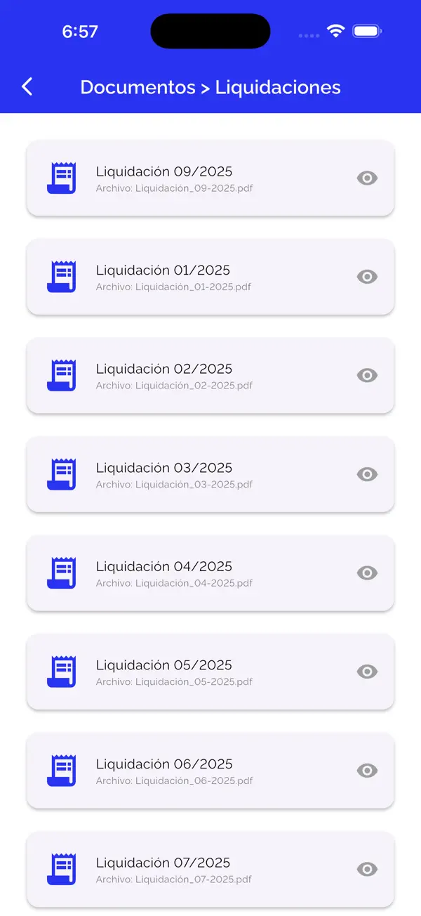 Mi Numerus - Documentos y liquidaciones